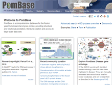 Tablet Screenshot of pombase.org